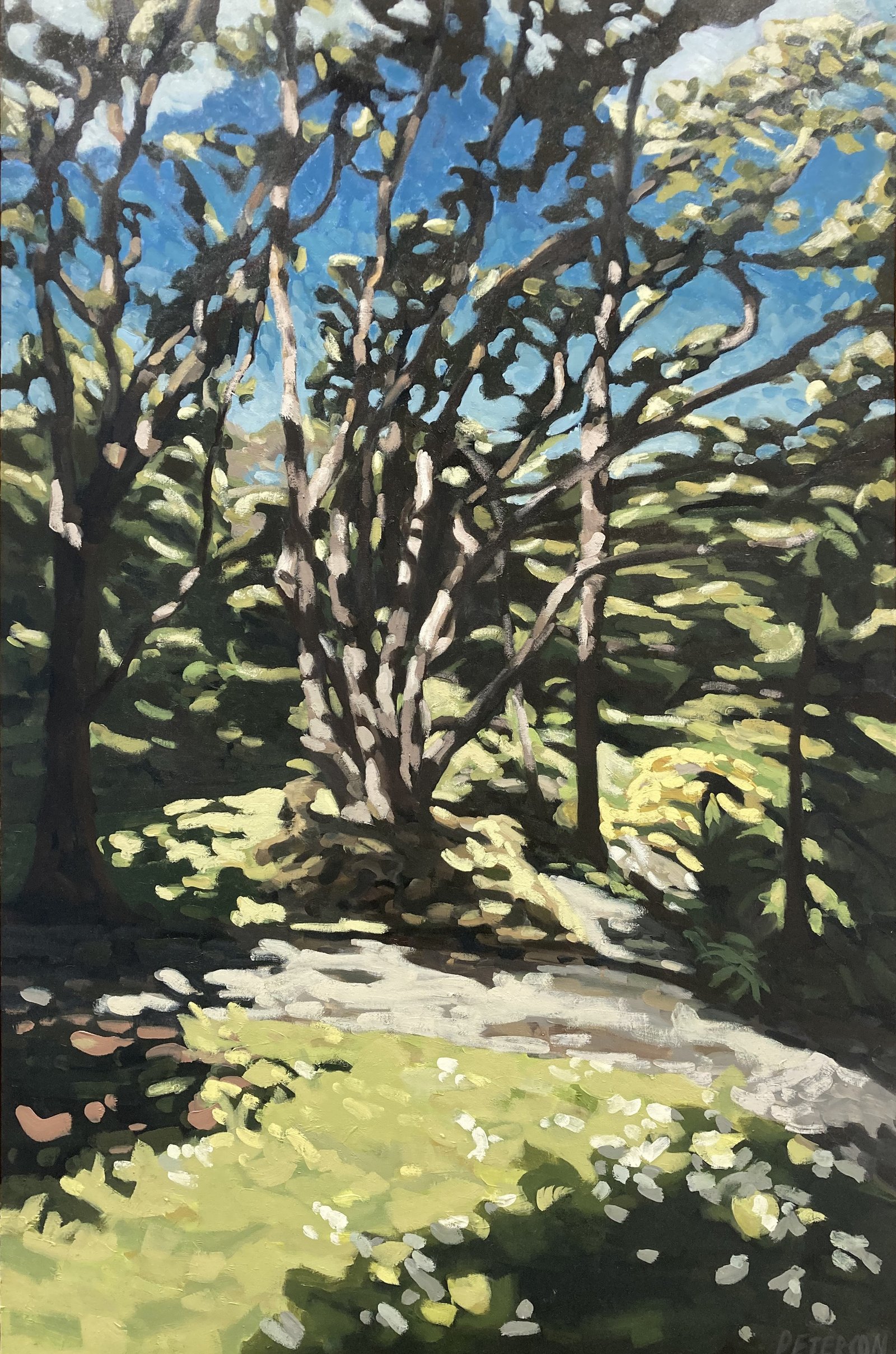 Wellington Botanical Gardens