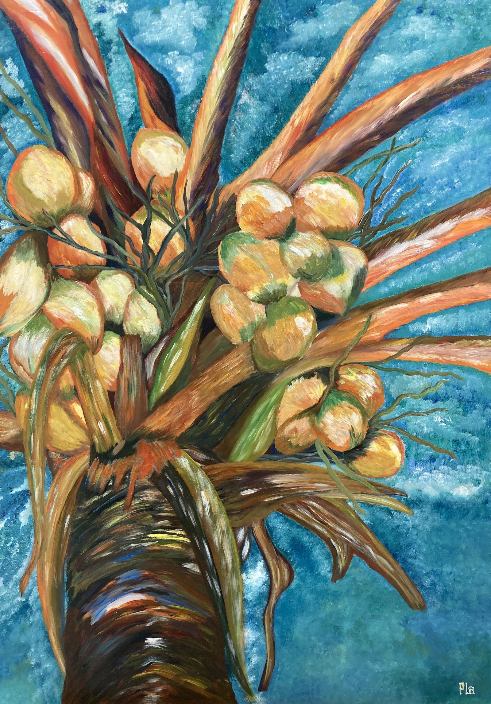 Coconut Tree